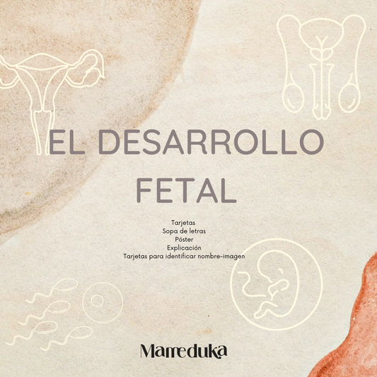 Proyecto descargable El desarrollo Fetal