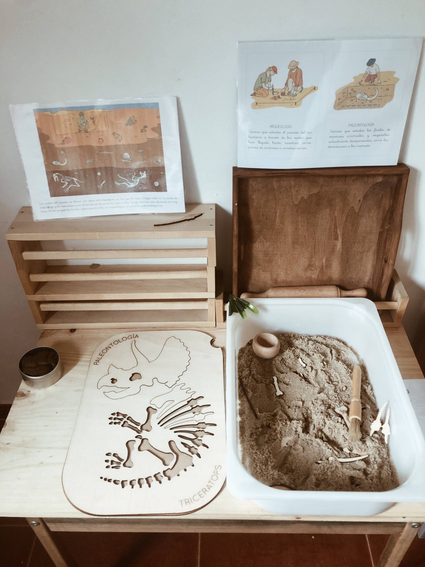 Paleontology flisat table insert