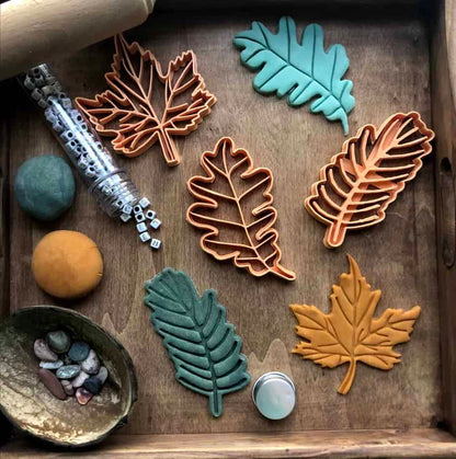 Pack Eco-molds ¨Leaves¨